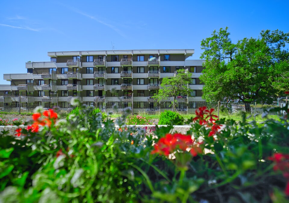 Ferienwohnungen Feldberg im Sommer Ferienwohnungen Feldberg im Sommer